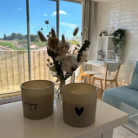 Superbe Renove Avec Cinema - Cap D'agde * Agde