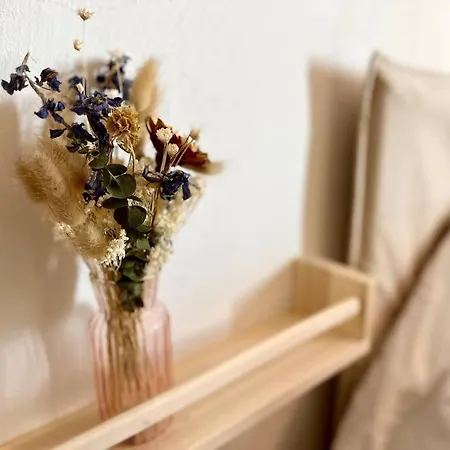 Apartamento Superbe Renove Avec Cinema - Cap D'agde Agde