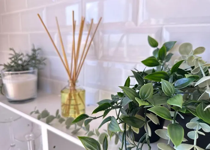 Superbe Renove Avec Cinema - Cap D'agde Appartamento *